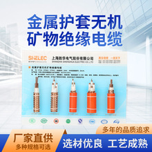 上海胜华电缆 柔性矿物绝缘电缆 防火电缆批发YTTW/RTTZ/BTTRZ