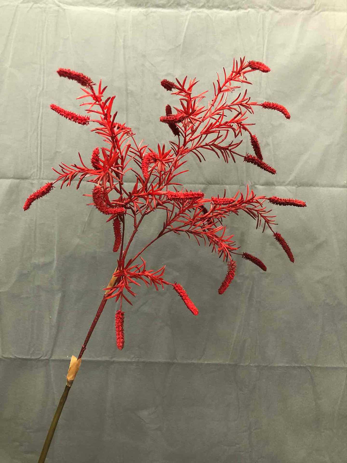 仿真秋色洋苏草中式狗尾巴草鼠尾草田园装饰毛毛草松虫草花艺配材