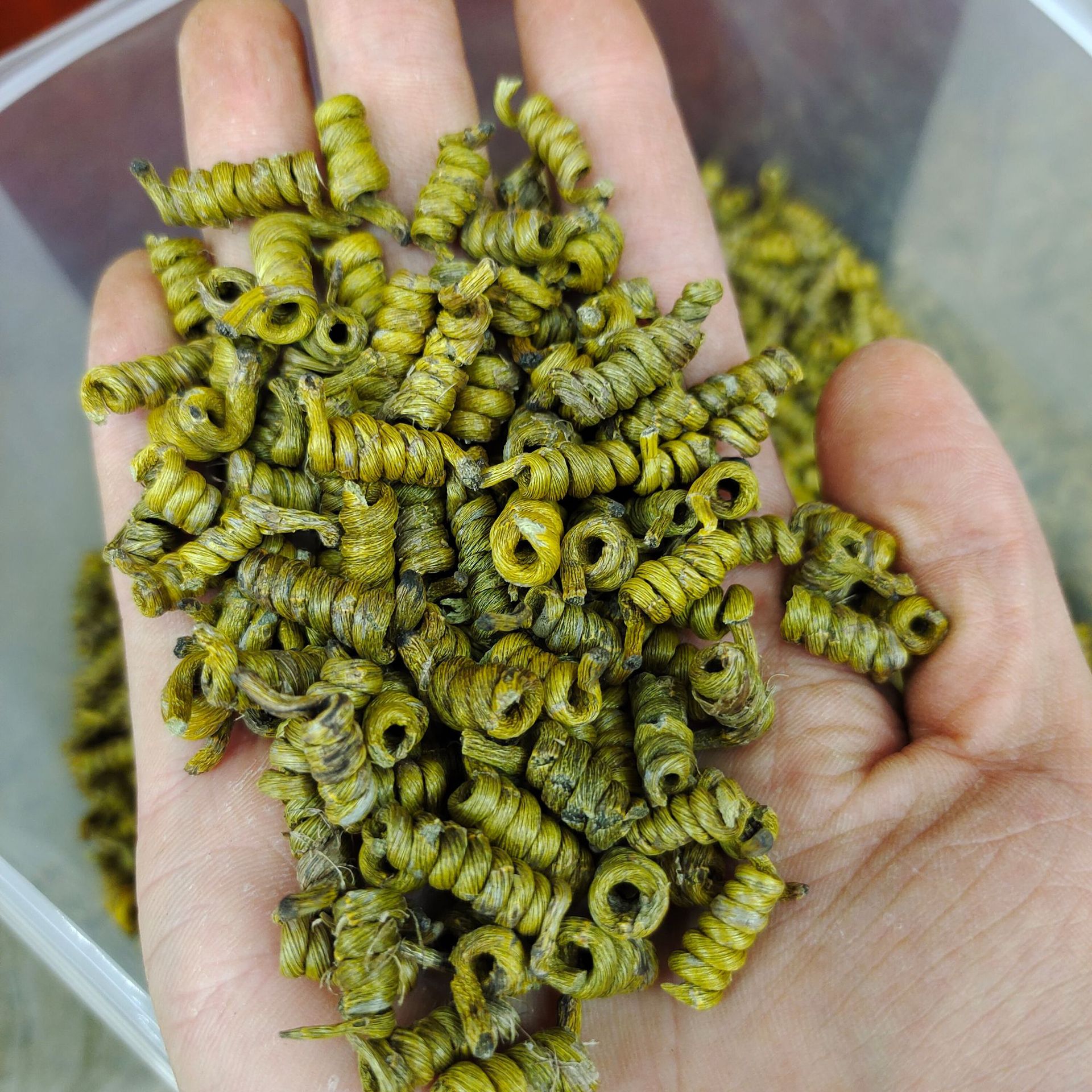 现货批发安徽霍山铁皮石斛 米斛 龙头凤尾胶质多无残渣规格齐全