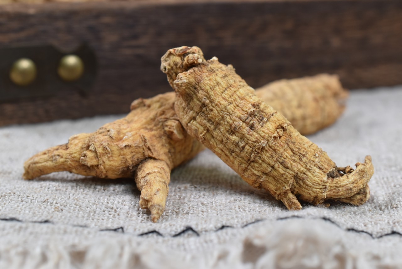 西洋参切片加拿大