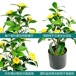 跨境仿真假花仿生山茶花树室内客厅装饰落地摆件仿真花造景茶花