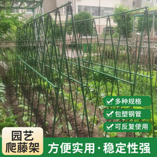 批发组合黄瓜爬藤架豆角蔬菜架杆植物包塑固定支撑杆种菜专用架子