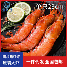 商用阿根廷红虾L1大红虾20cm红虾新鲜大虾鲜活海鲜海捕水产4斤