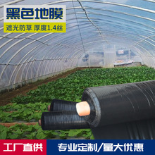 黑色功能加厚地膜蔬菜农膜打孔PE塑料膜保温可降解塑料大棚膜厂家