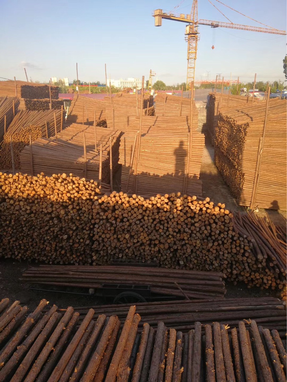 混批支撑杆杉木杆支树杆绿化杆支持全国发货-阿里巴巴