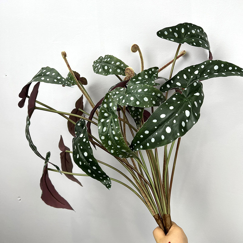 8头扎束秋海棠 仿真植物秋海棠叶酒店家居插花植物墙造景装饰叶材