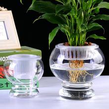 水培玻璃植物绿萝花瓶葫芦室内桌面摆件花卉水养器皿灯笼办公花瓶