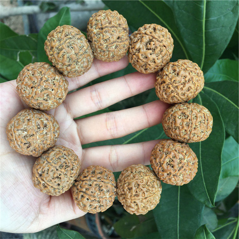 金刚菩提批发原籽大金刚菩提子文玩手串五78八瓣男士女士手持佛珠