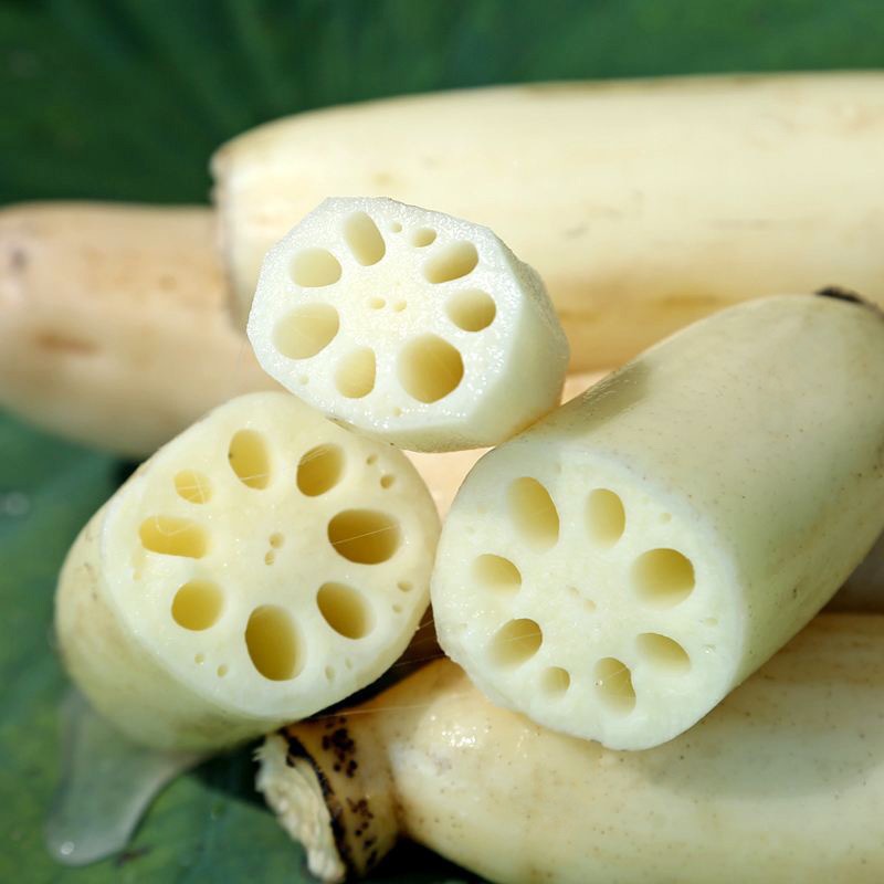 清水莲藕片藕丁藕段酒店餐馆用新鲜莲藕食材 专业生产厂家4斤