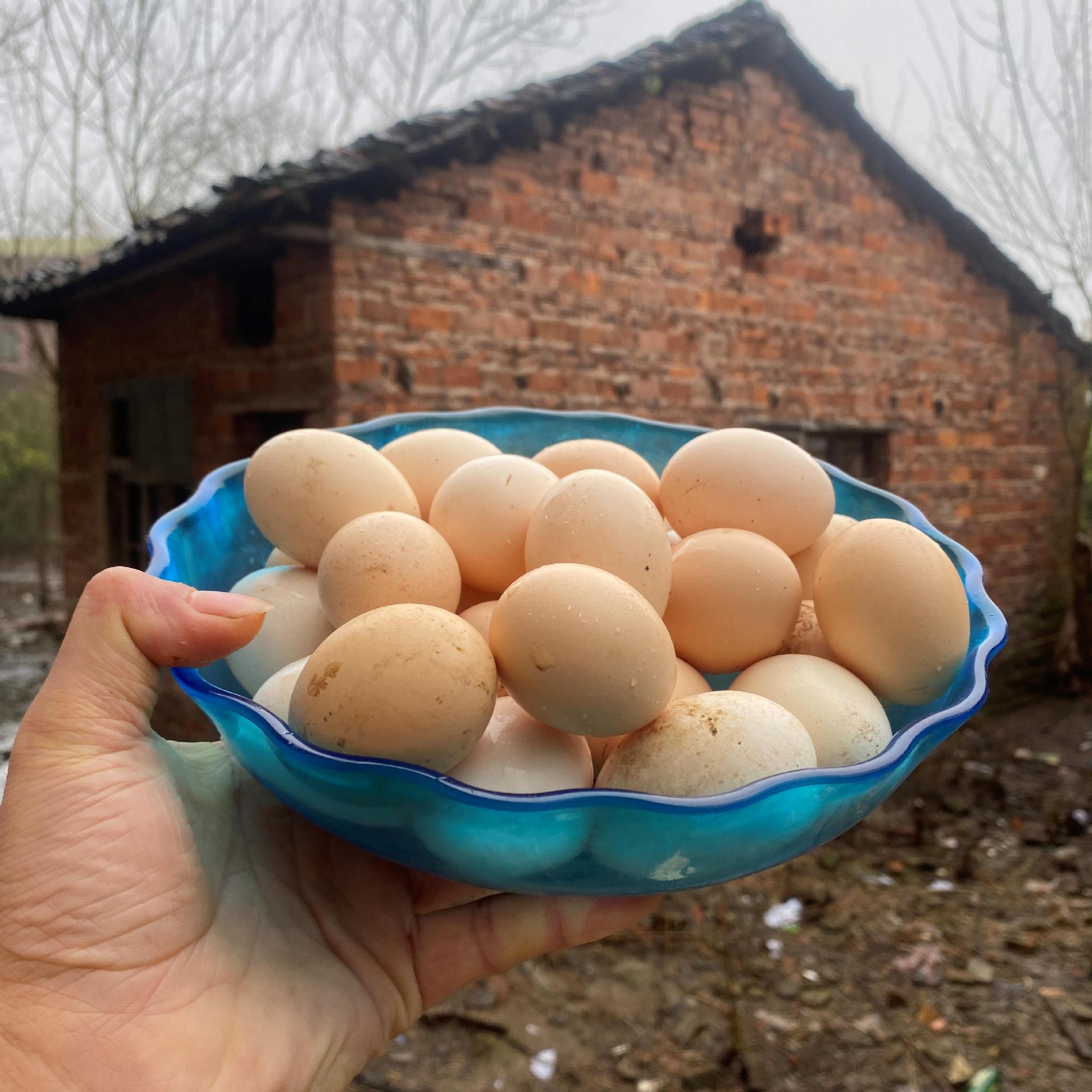土鸡蛋农家散养新鲜土鸡蛋柴鸡蛋草鸡蛋挨家挨户收购农村30枚