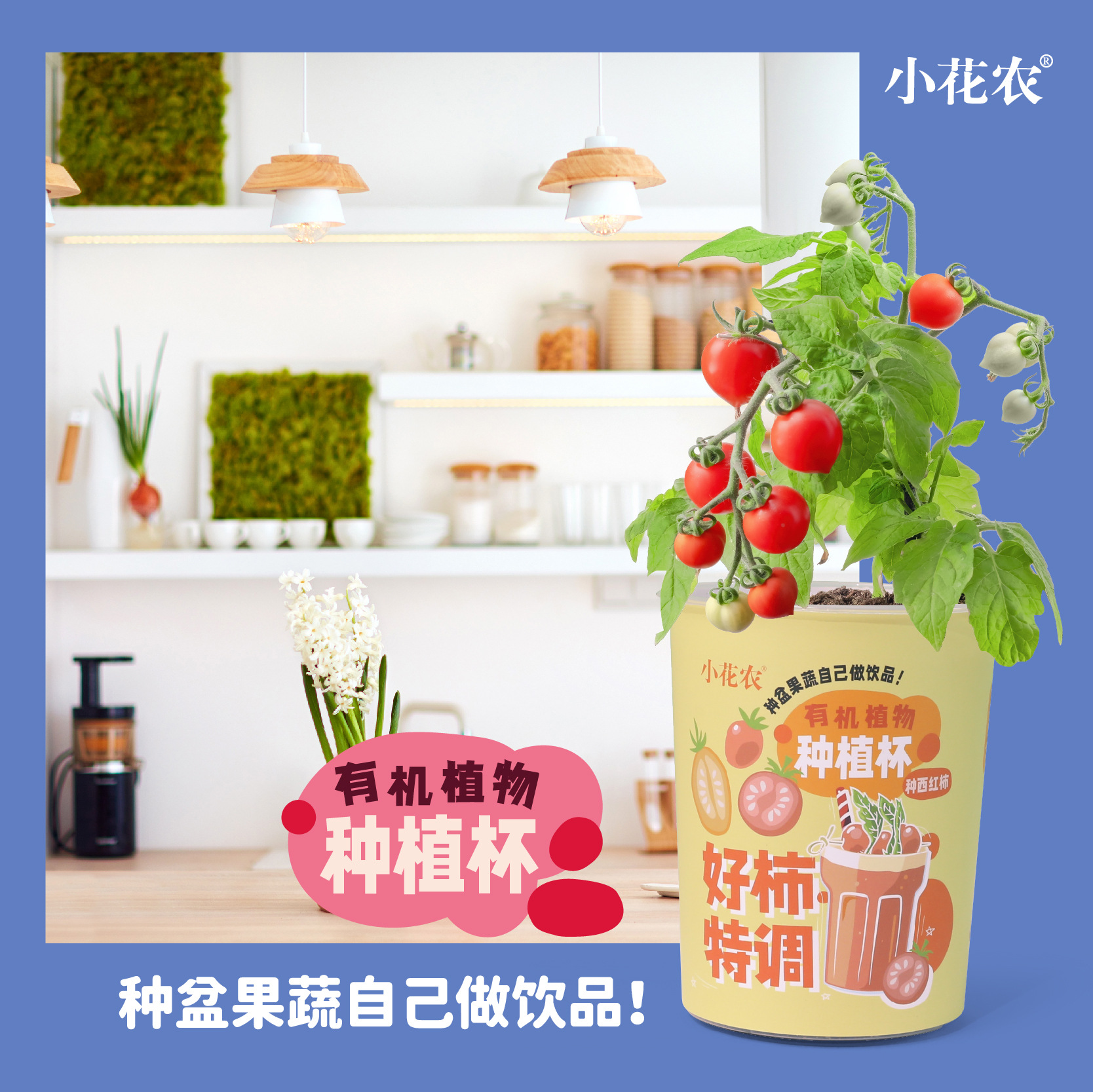 Children's Fruit Vegetable Flower Seed Planting Mini Pot Creative Elementary School Student Educational Early Education Gift Strawberry