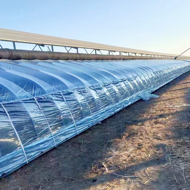 温室大棚骨架 冷棚暖棚插地棚 镀锌管 天津大棚钢管 联动大棚