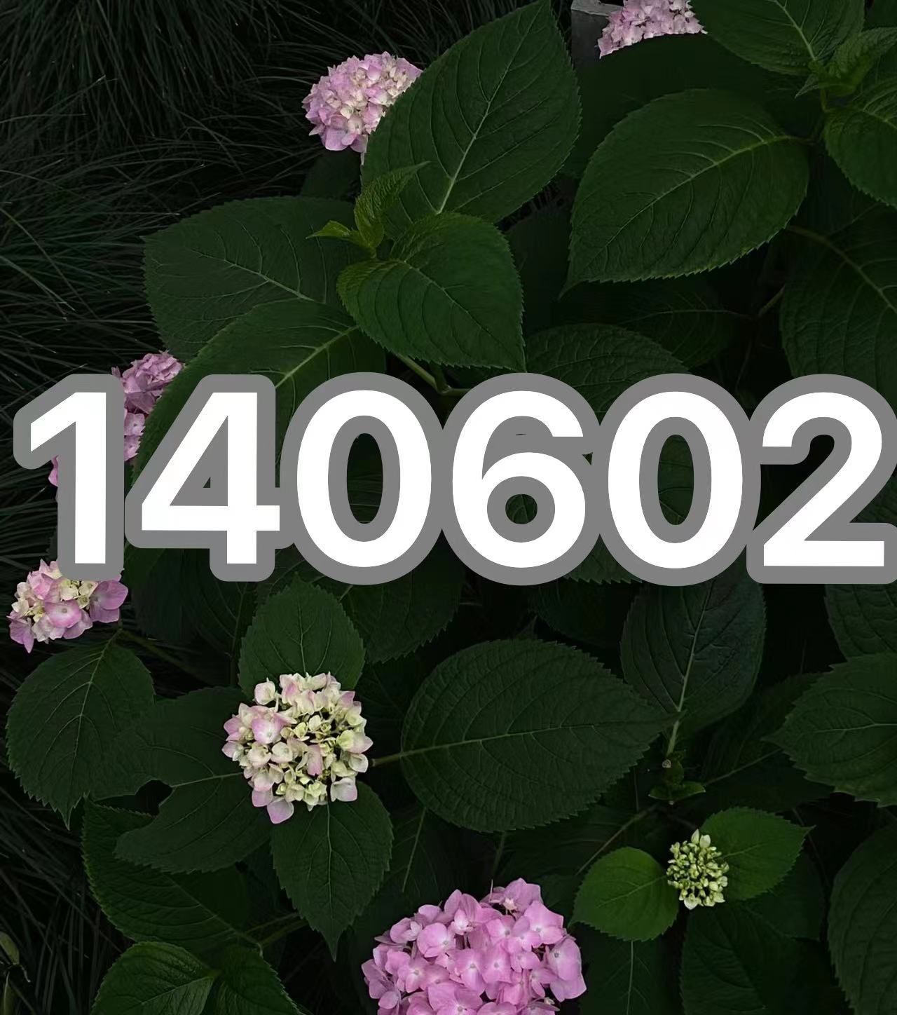 140602.夏季新款男女儿童翻领套装大童拼色短袖t恤短裤两色-阿里巴巴