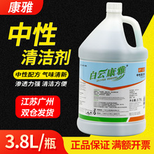 白云康雅KY112中性全能清洁剂马桶厨房去渍酒店除尿垢大桶装绿水