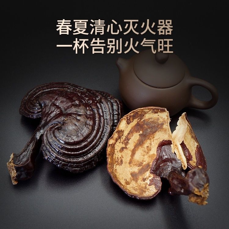 包邮长白山灵芝东北泡酒泡茶林下赤紫灵芝大朵林芝泡酒材-阿里巴巴