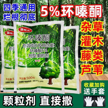 5%环嗪酮除竹剂杀树剂除草剂杂草烂根药除大树杀树王除竹环嗪酮