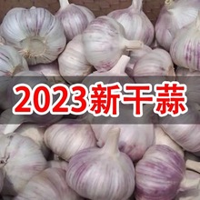 紫白皮大蒜5斤 2023年当季整箱新鲜蔬菜干大蒜头批发红皮农家自种
