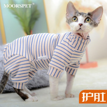 MOORSPET无毛猫衣服德文斯芬克斯猫咪弹力德绒护肚子打底四腿卫衣