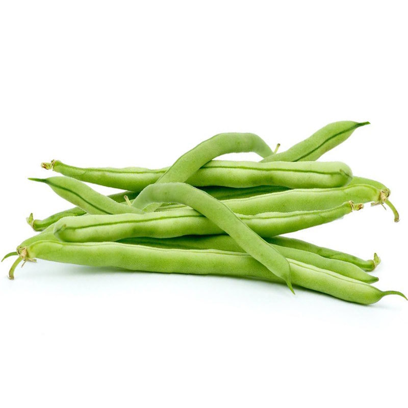 美国无架豆角种子 老品种豆角 特长豆角地豆 春季夏季秋季 蔬菜种