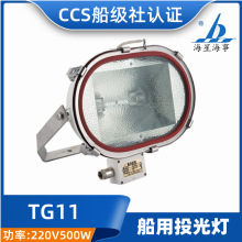 海星船用不锈钢投光灯TG11/TG15高压钠灯光源照明E40/400W整流器