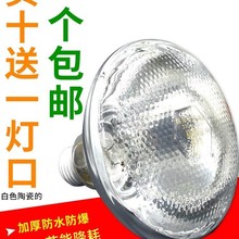 猪用保温灯鸭舍鸡场小鸡育雏加热加温保暖仔猪取暖灯泡烤养殖其他