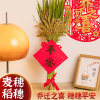 Fortune Ear of Wheat Dried flowers Rice Housewarming decorate a living room Bumper harvest Move Into the house Ceremony arrangement Supplies