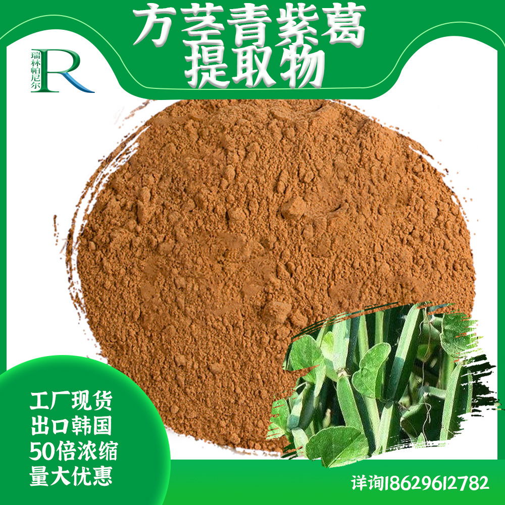 方茎青紫葛提取物/粉 50:1 cissus extract 出口韩国  量大可议价