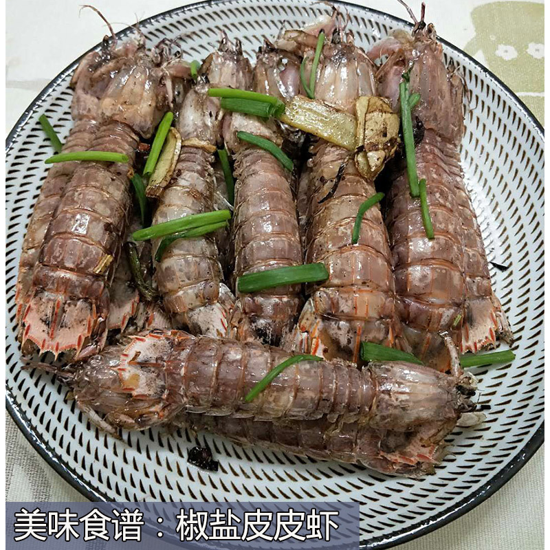 舟山东海皮皮虾鲜活大螳螂虾海鲜水产虾爬子虾姑现铺鲜活码头直发