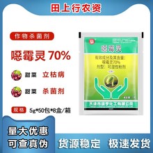 绿亨70%噁霉灵 甜菜立枯病内吸土壤消毒恶霉灵可湿性粉农药杀菌剂