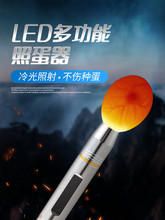 照蛋器led手电筒孵化专用验蛋孵蛋可充电照蛋灯蛋种检查冷光孵化