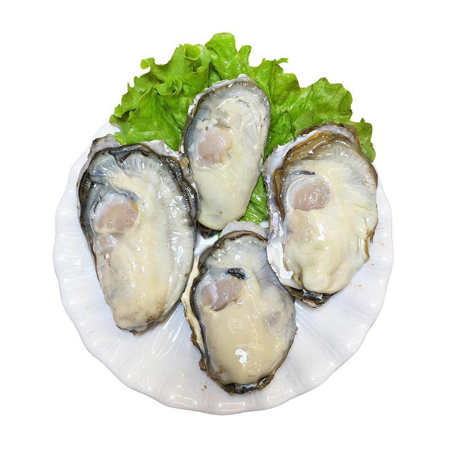 半壳生蚝 牡蛎 海鲜 冻品批发 大排档酒席烧烤酒店 食材120只/件