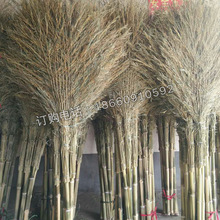 竹扫帚大扫把扫马路家用户外竹苗竹丝天然植物小扫帚塑料丝木环卫