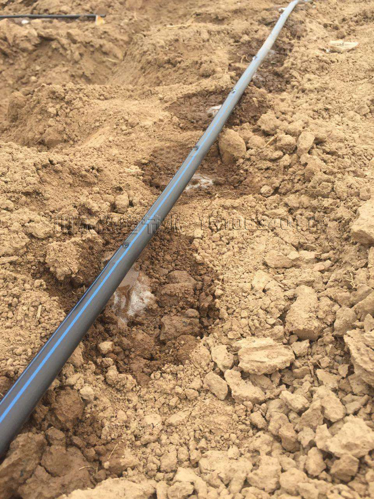 品质保障 厂家直营 pe盘管 农用灌溉 大棚微喷pe盘管