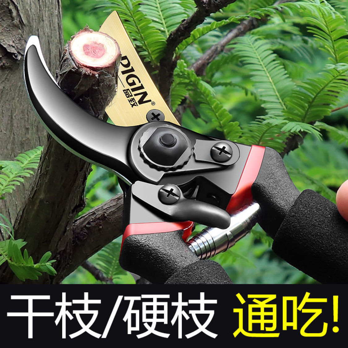 【48小时发货】剪树枝专用剪子剪刀家用树枝修剪果树修剪刀修枝剪