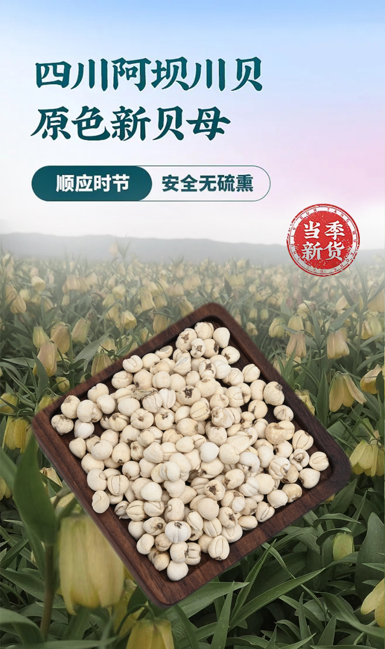 四川阿坝川贝母礼盒装批发中药材川贝母川尖贝母松贝