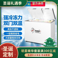 北极熊双温冰柜家用宿舍租房小型冷冻柜能效单温立式冰箱商用
