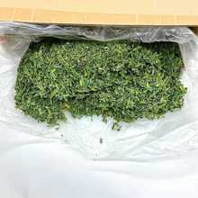 紫花苜蓿草叶子幼兔专用兔子草纯叶子干草兔子龙猫荷兰猪陆龟粮食