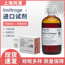厂家供应 进口试剂 Invitrogen L3000-015  Lipofectamine 3000