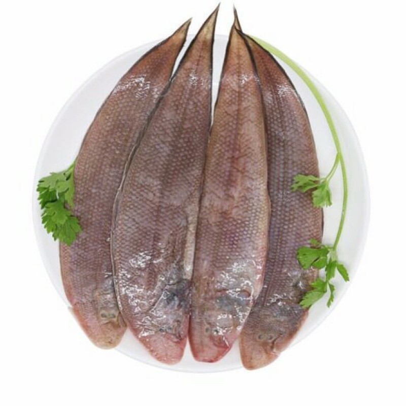 【顺丰速运】龙利鱼海捕舌头鱼踏板鱼鳎目鱼鱼柳子板鱼海鲜水产