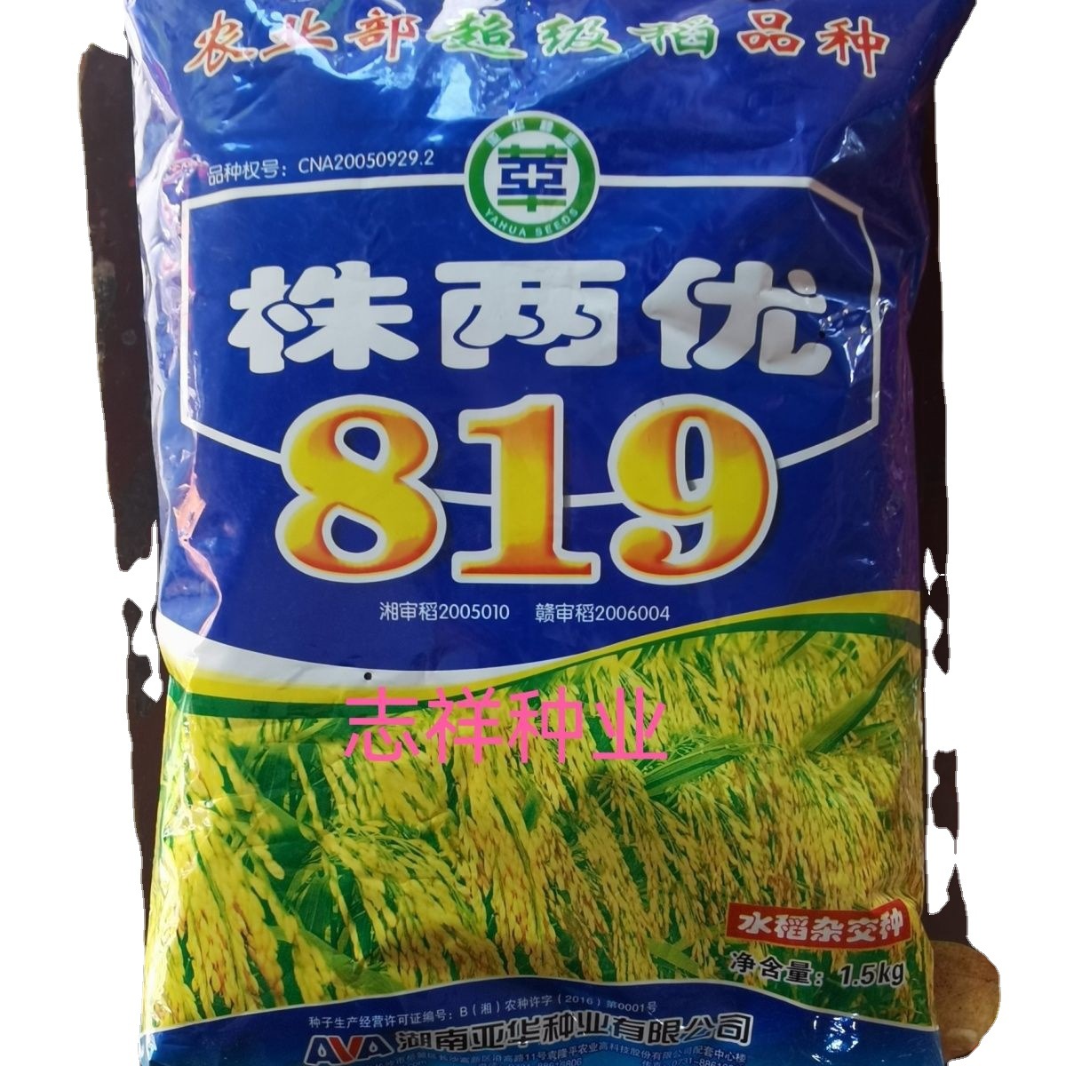 杂交水稻水稻种子