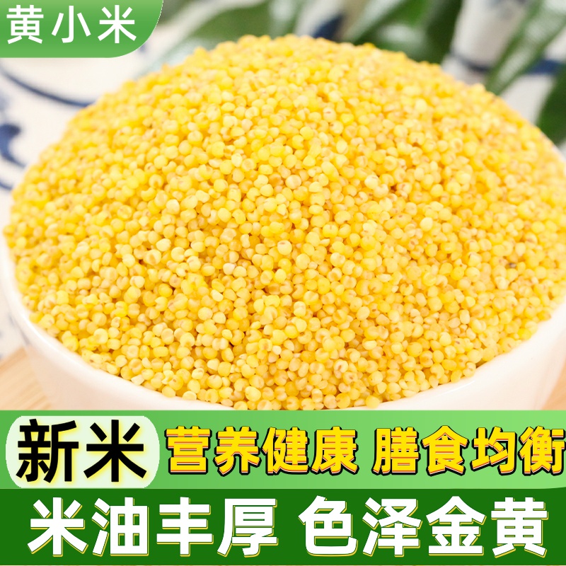 黄小米5斤 新米小黄米 月子粥农家油脂小米粥糯粟米粗粮小米杂粮