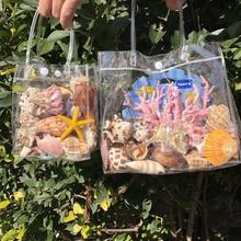 。天然贝壳海螺礼盒套餐珊瑚鱼缸水族造景儿童玩具礼物创意礼