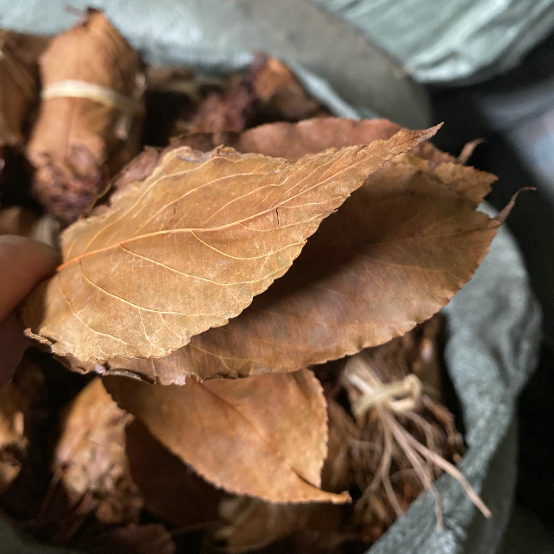 山楂叶 优质山楂叶 物美价廉 产地直销 散叶扎把