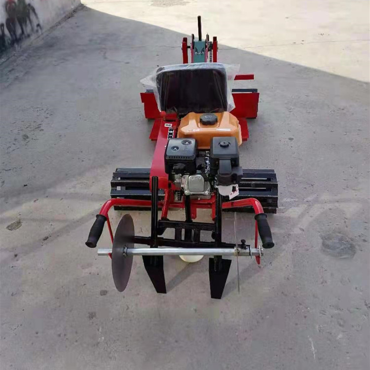 全自动大姜种植机 深浅株距可调大姜播种机 圣鲁牌种姜机