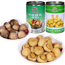 出口蘑菇草菇罐头食用菌罐装蔬菜炒菜煲汤烹饪食材425克/罐包邮
