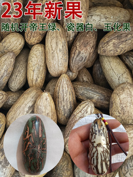精品千眼菩提子原籽原料老果大果绿果白果按斤文玩手把件新果胖果