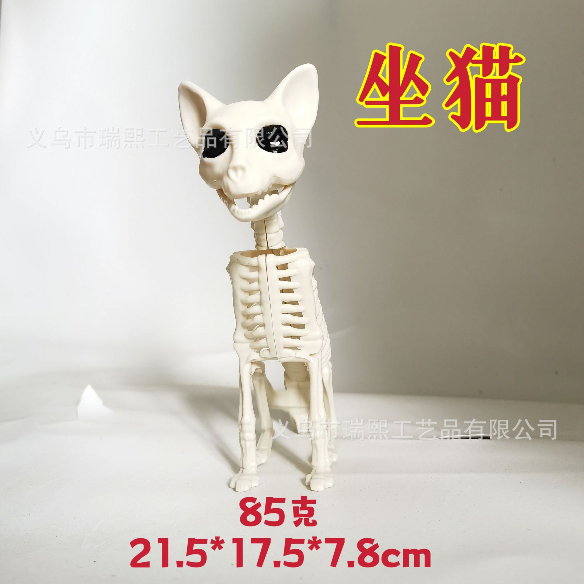 厂家直销万圣节小猫骨骼 小坐猫骨架 骨架模型 动物教学演示模型