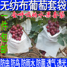 无纺布葡萄套袋水果保护袋柚子桃子梨子枇杷露天防鸟果袋防虫