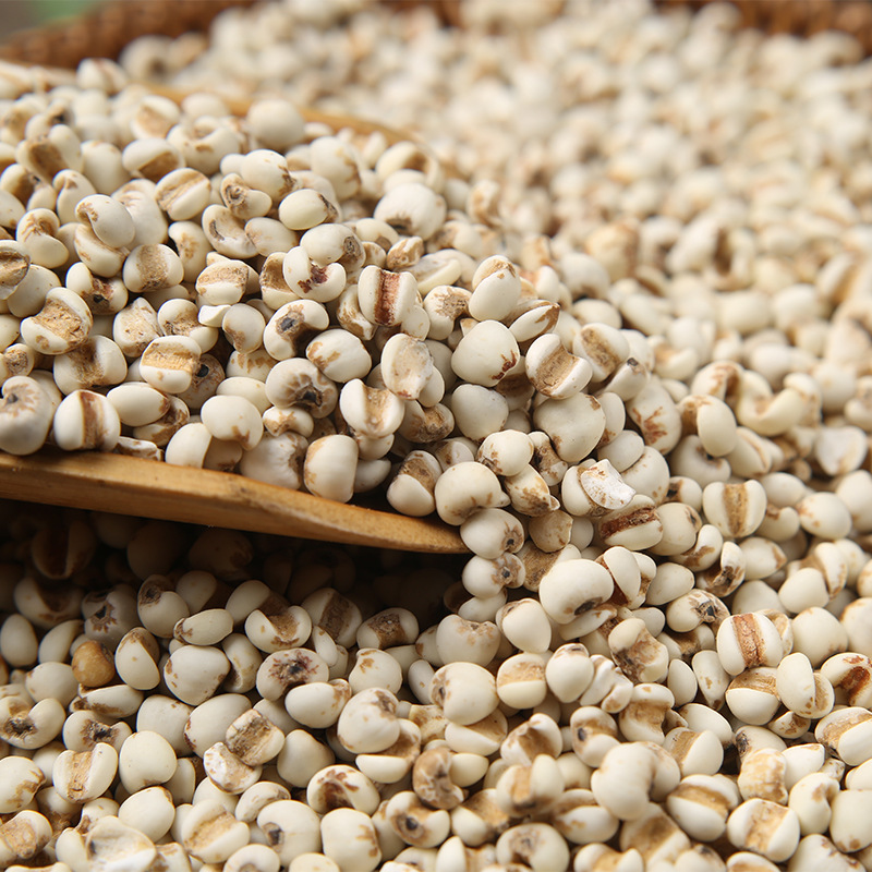 产地货源直供新货薏仁米批发小薏米苡仁 苡米 五谷杂粮