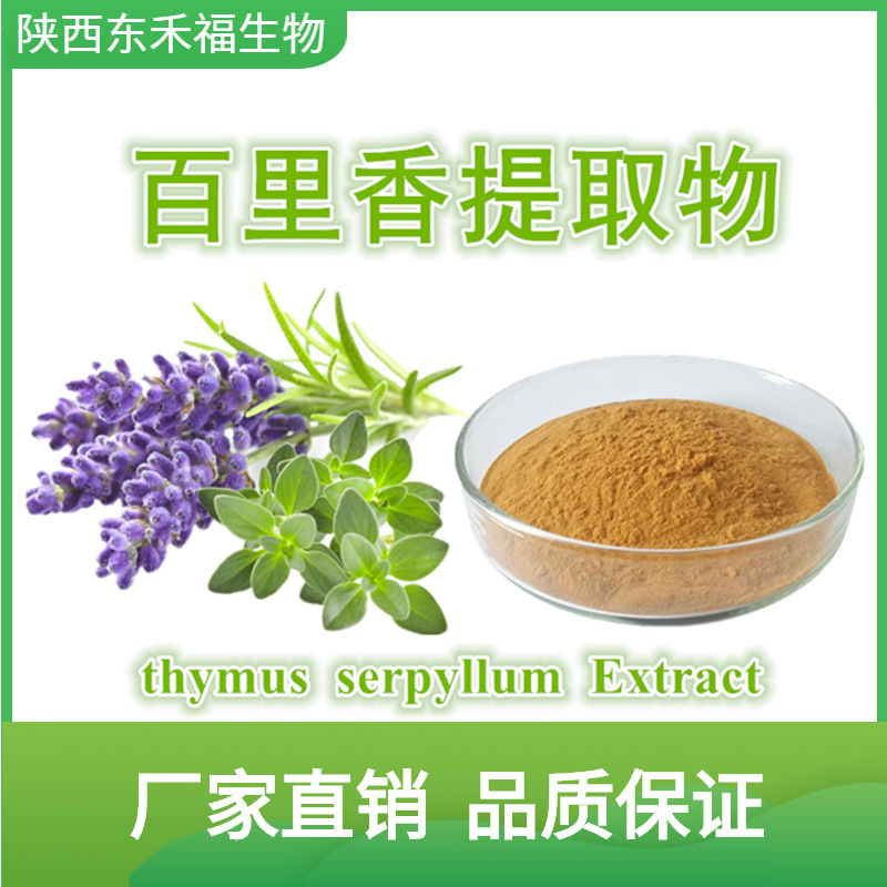 百里香提取物101百里香粉百里香酚thymusserpyllumextract